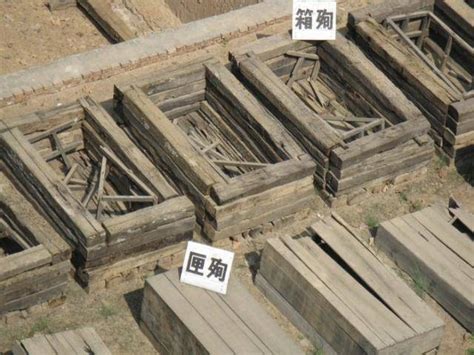 台灣活人陪葬 有草有木的字